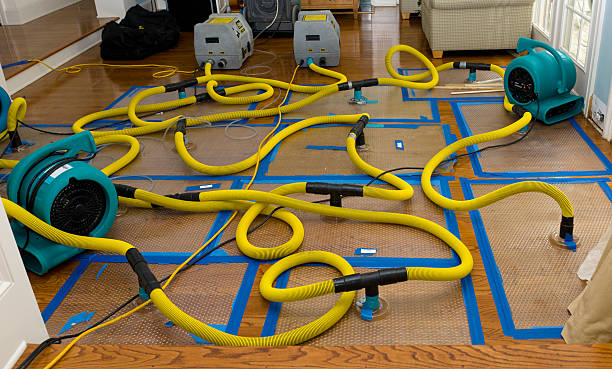 Professional Water Extraction technician working in Akron, CO